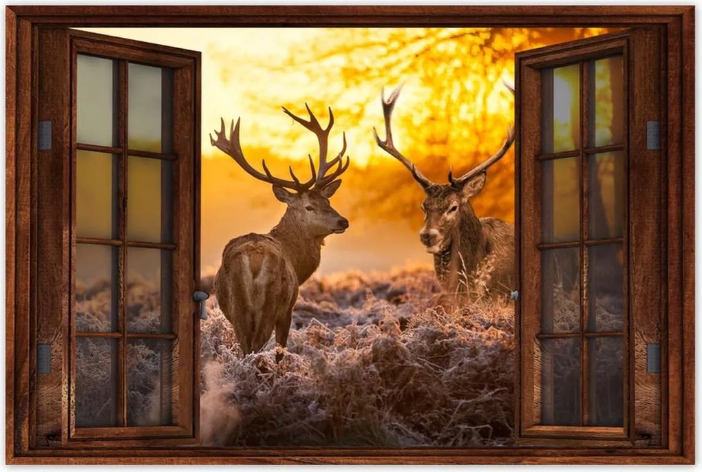 Poszterek 60x40 Szarvasok a reggelben