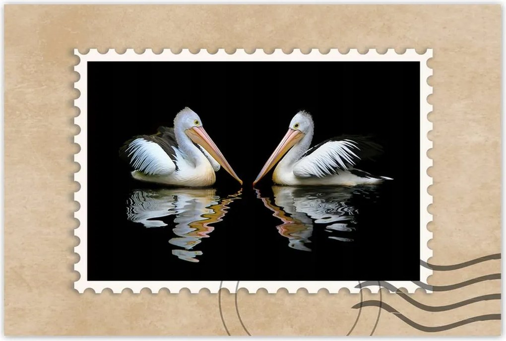 Poszterek 90x60 Kormoránok