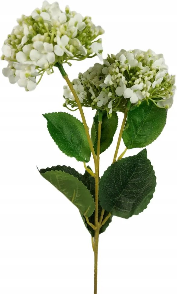 Kalina fehér x3 P55-20-31