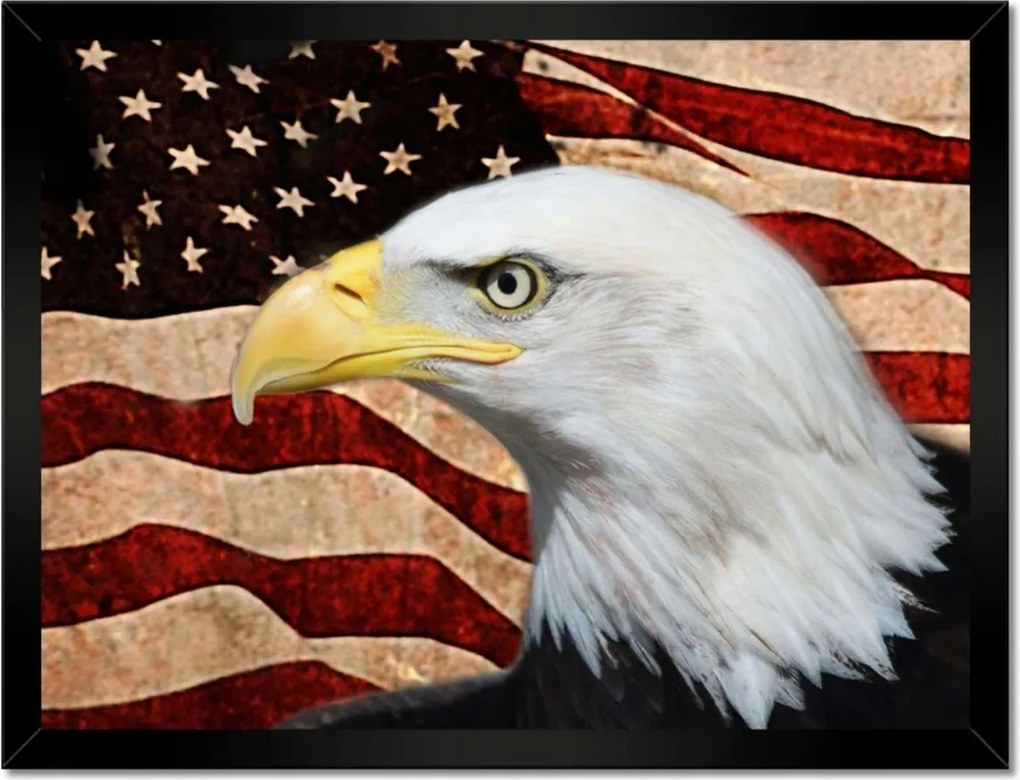 Poszterek keretben 40x30 Amerikai sas