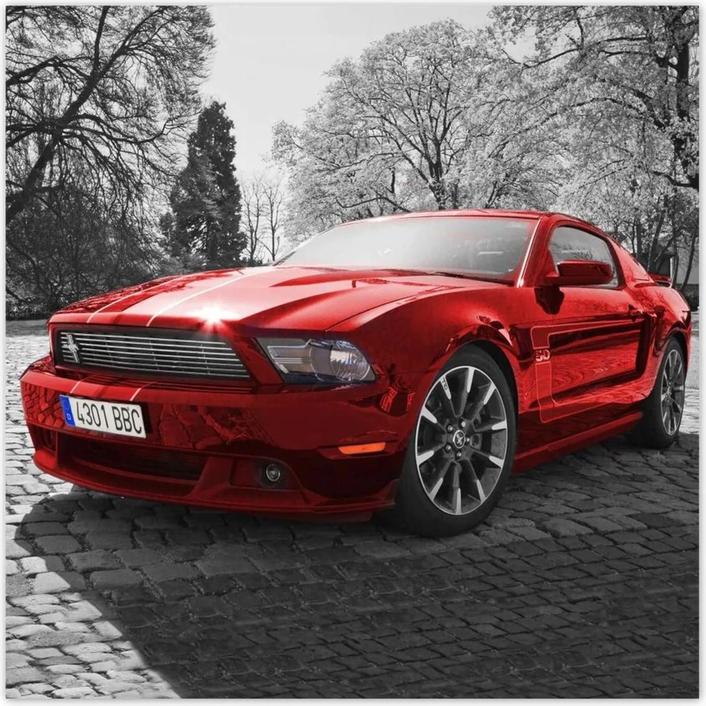 Poszterek 100x100 Piros Mustang