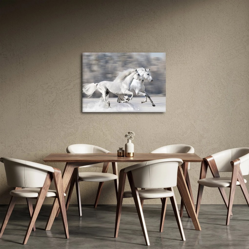 Kép - Fehér lovak télen (70x50 cm)