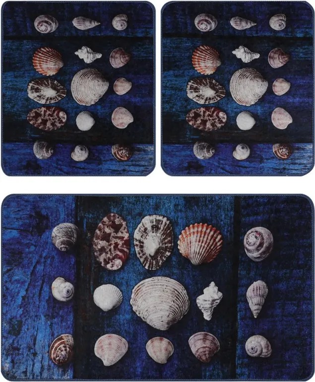 Seashell