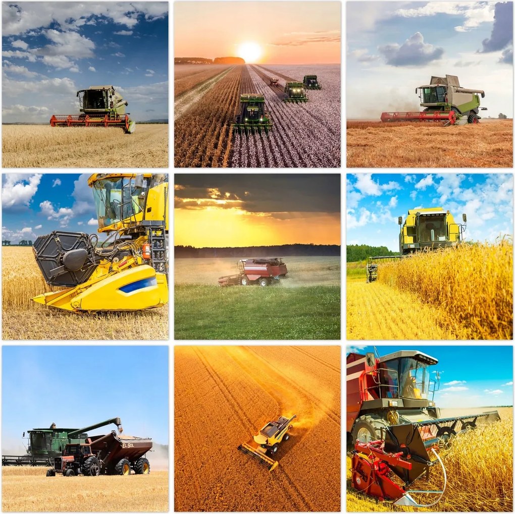 Poszter szett 9x 30x30 Mix Aratás Kombájn