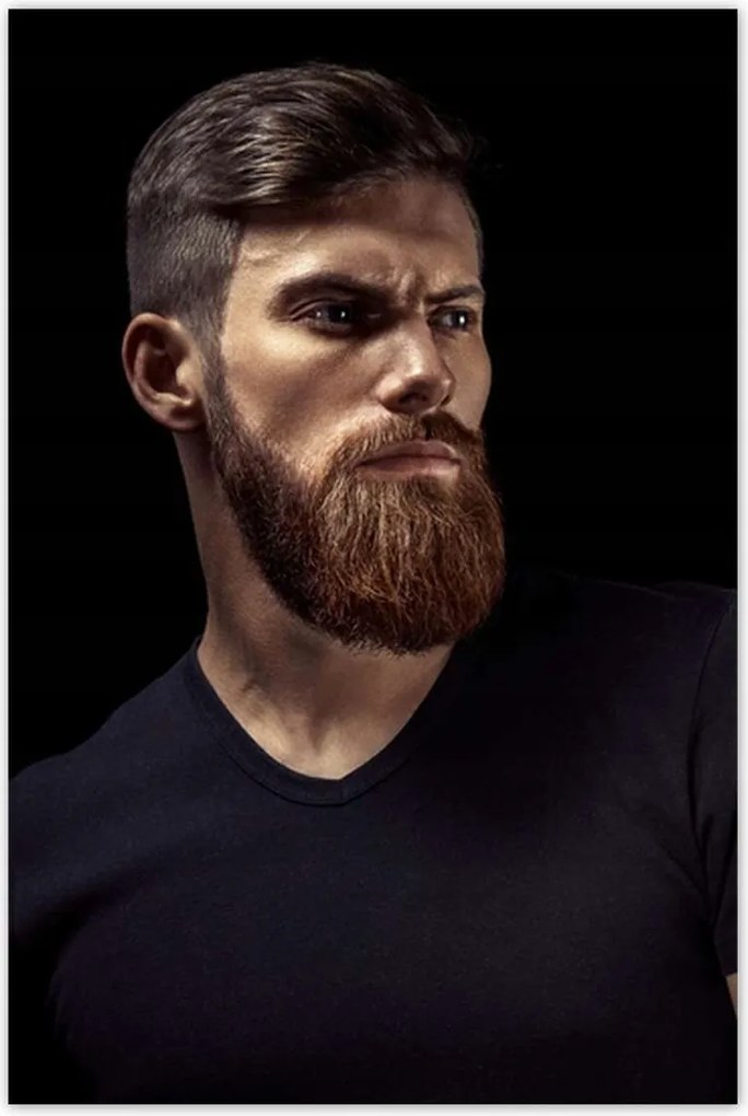 Poszterek 80x120 Egy jóképű úr portréja