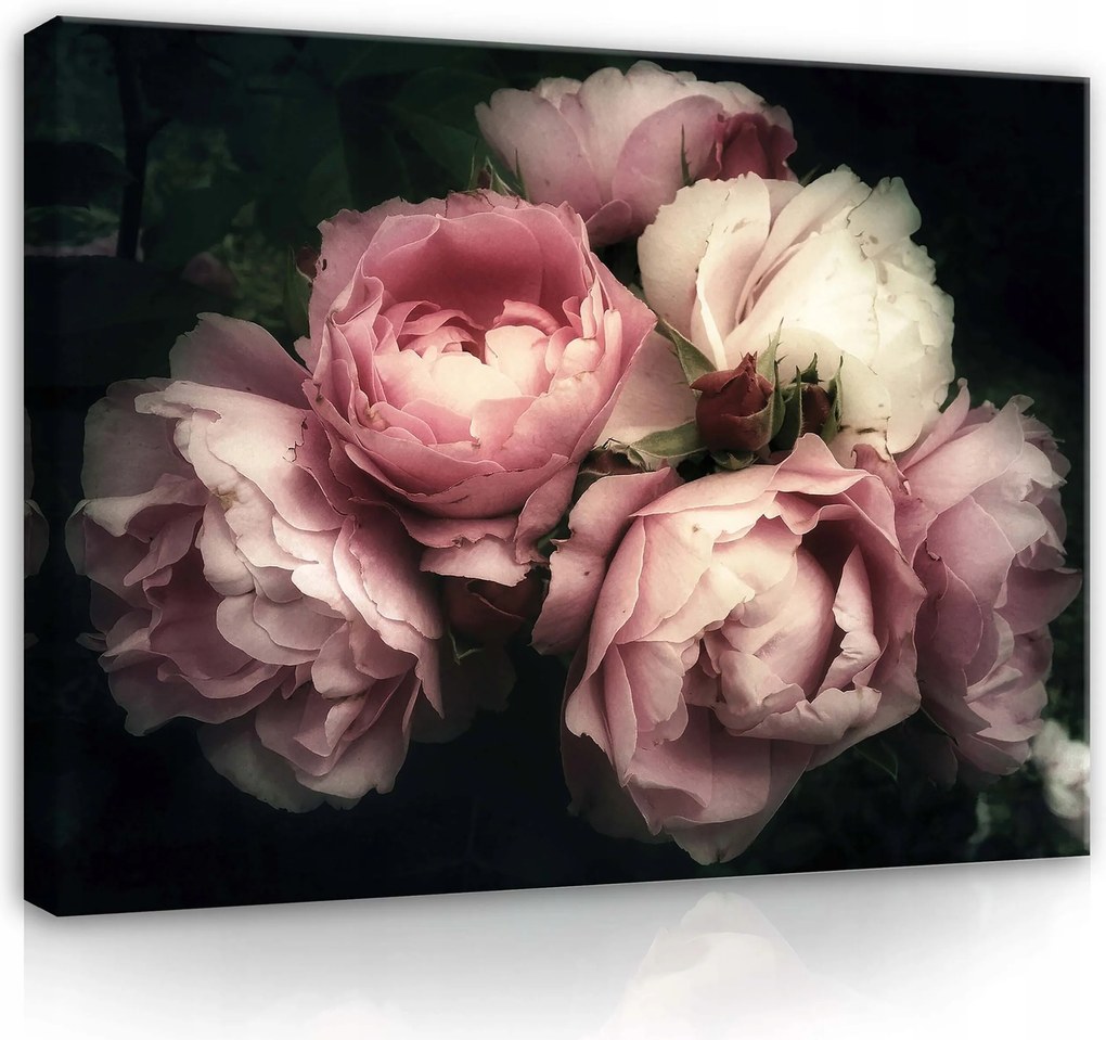 Vászonkép 100x75 Bazsarózsa virágok rügyek finomság romantika melankólia nyugalom