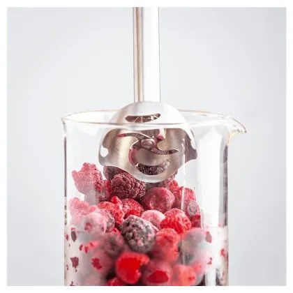 Tefal - Botmixer QUICKCHEF 1000W/230V fekete