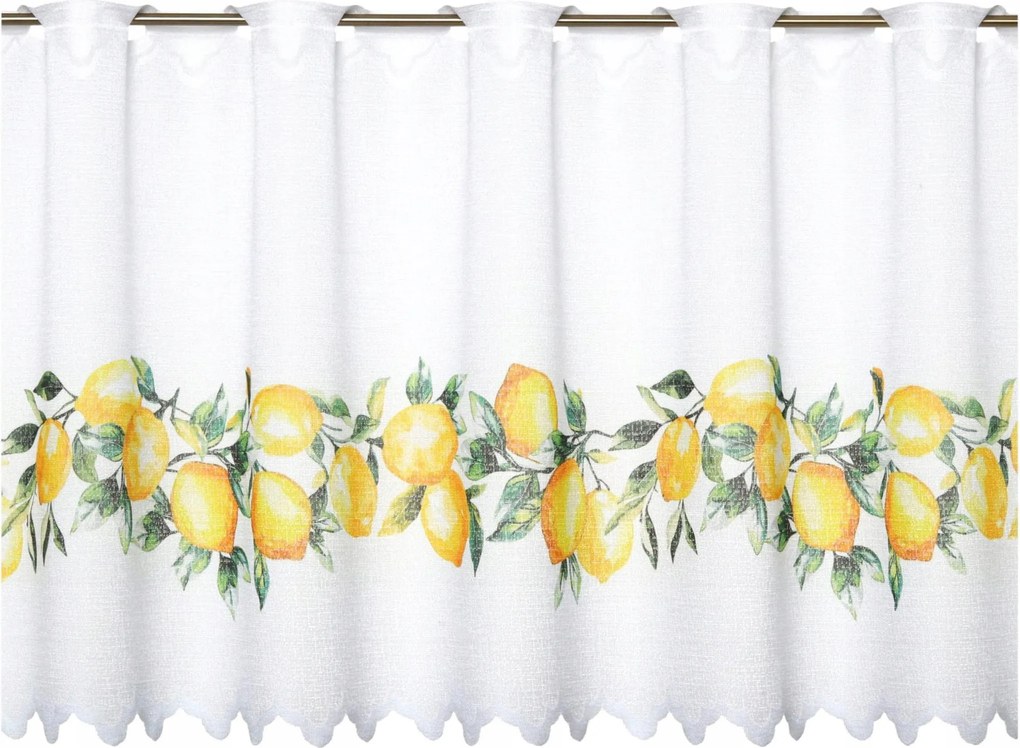 Irigy Hónaljmirigy 100x50 Vitrázs Függönyök a konyhába Irigy Hónaljmirigy Kész Citrom