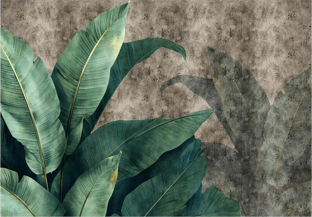 Fotótapéta Levelek a flizelinen nagy Gyönyörű Levelek fotótapéta ragasztó 208