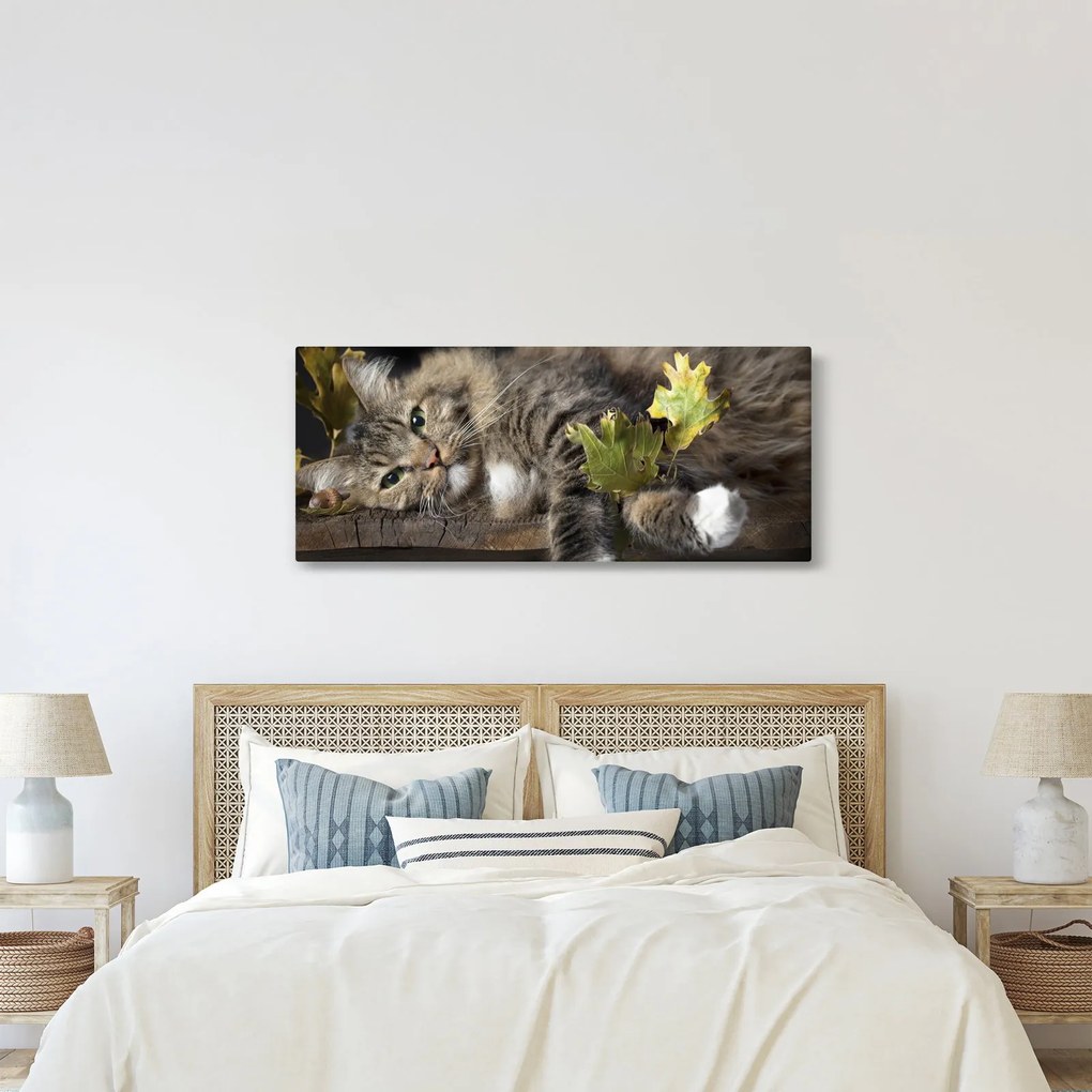Kép - Hazudós macska (120x50 cm)