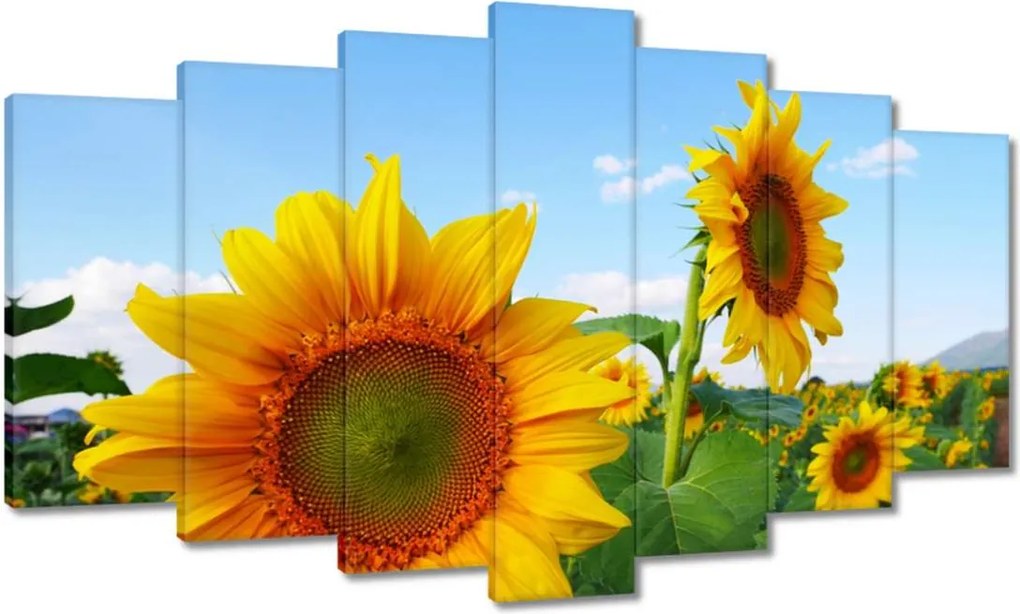 Vászonkép 140x80 Napraforgók Égbolt