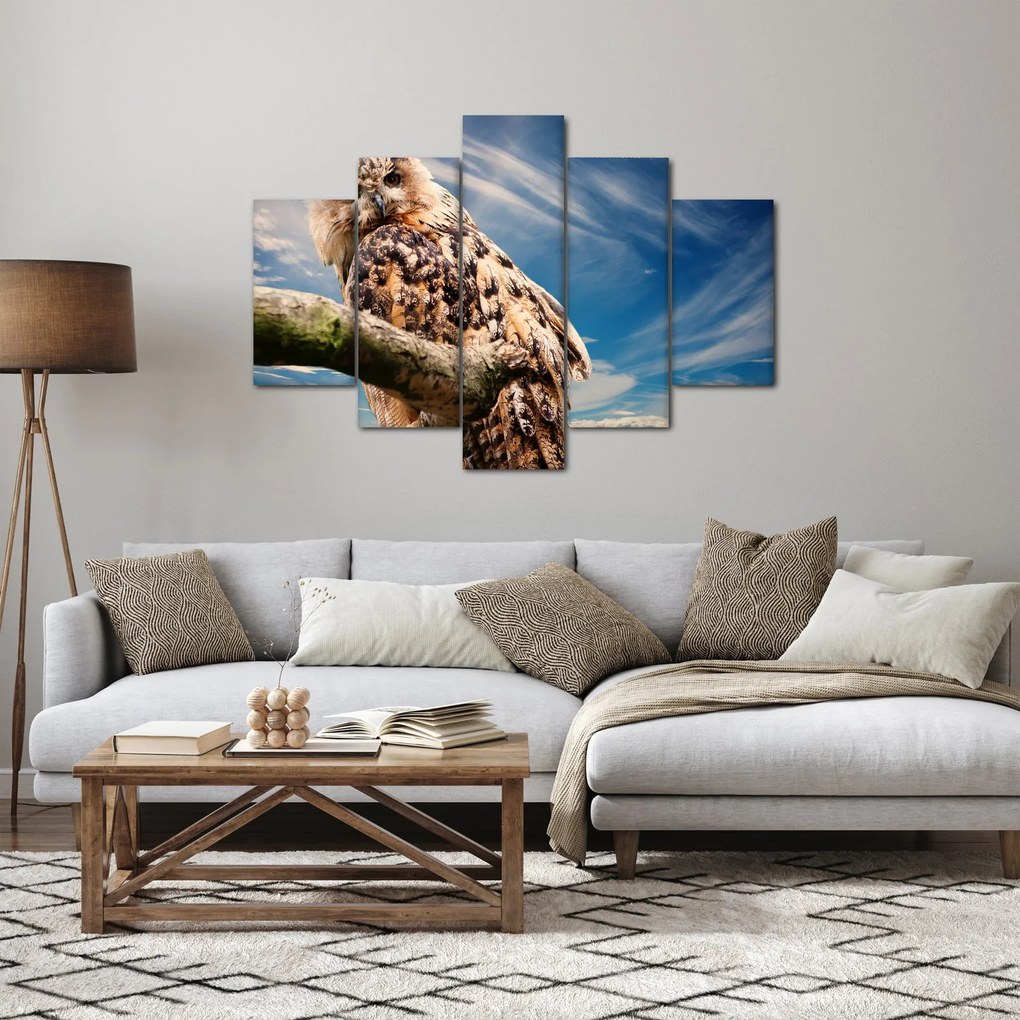 Bagoly képe (150x105 cm)