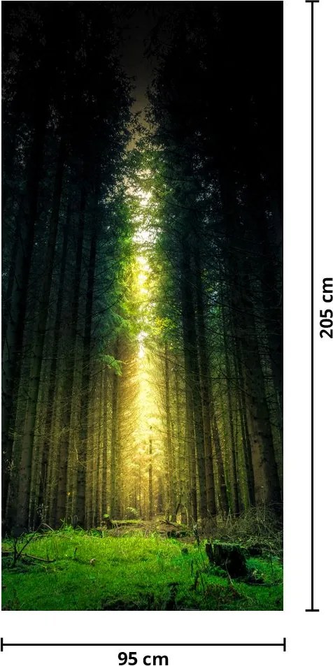 Fotótapéta ajtóra - Sötét erdő (95x205cm)