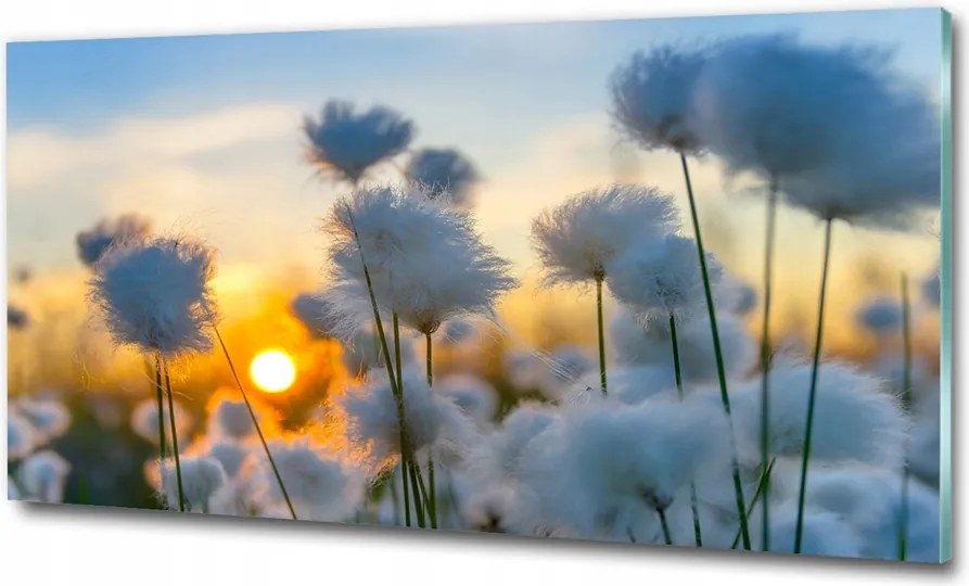 Fotó vászonkép edzett üveg Orchidea 100x70