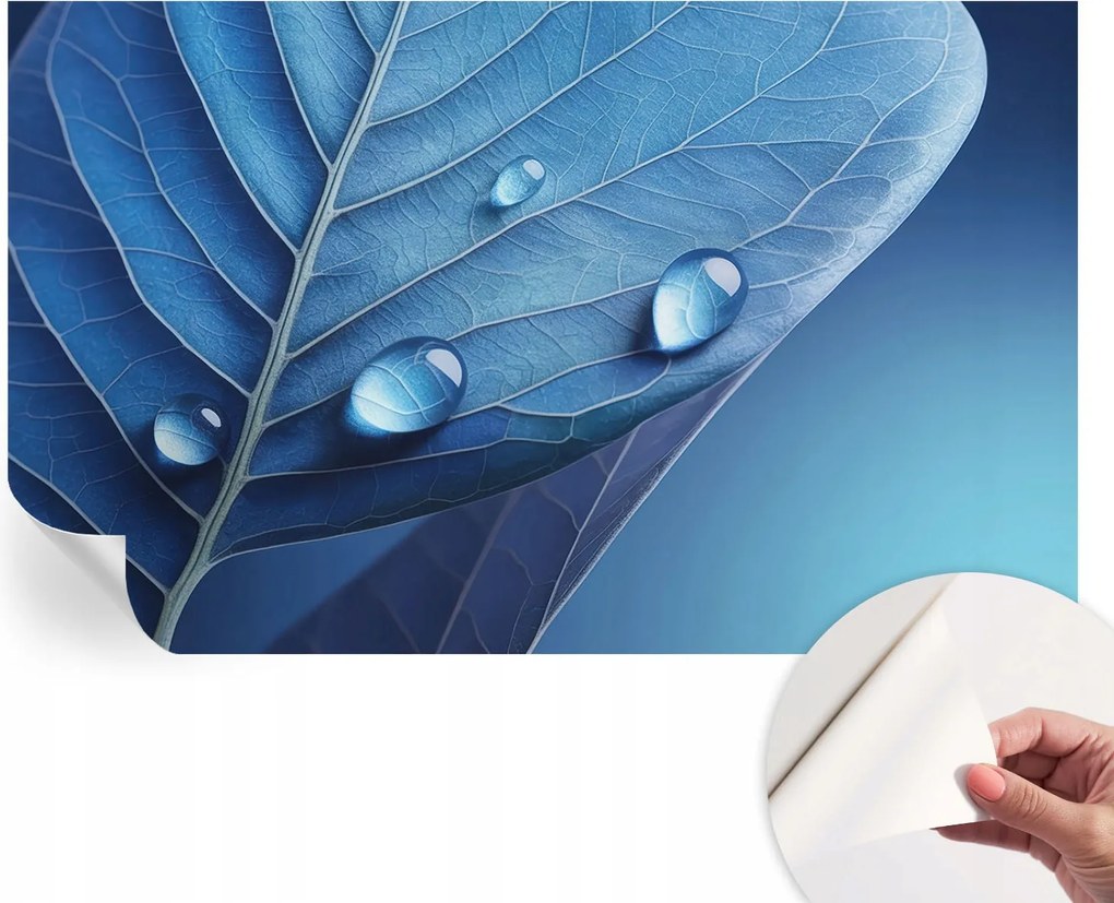 Öntapadós Dekoratív Fotótapéta Hálószobába Kék levél 416x254 cm