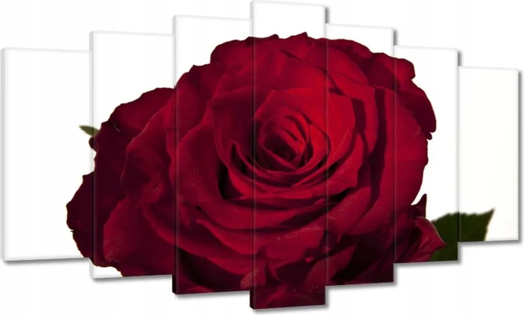 Vászonkép 140x80 Vörös rózsa fehér között