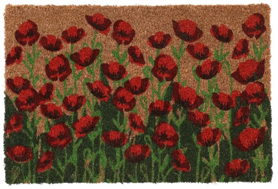 Kókuszrost lábtörlő 40x60 cm - Esschert Design