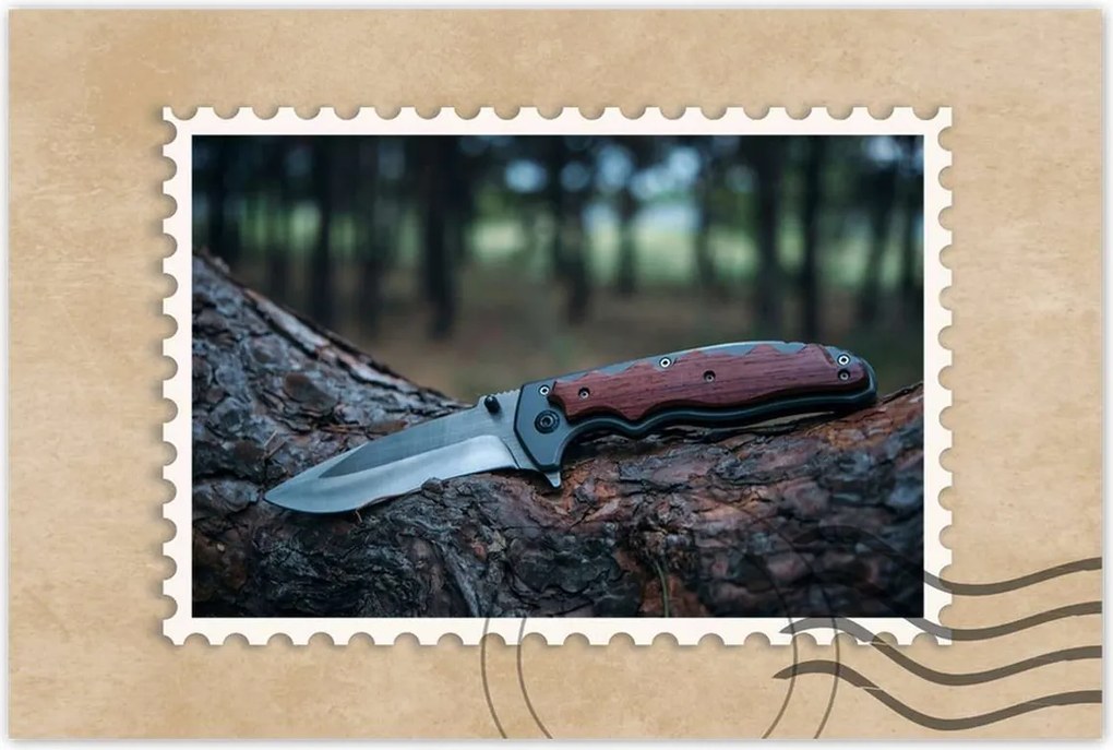 Poszterek 90x60 Fekvő kés fatörzsön