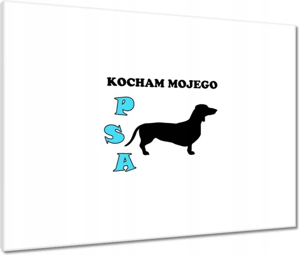 Vászonkép 80x60 Tacskó