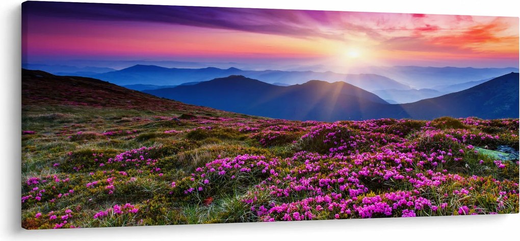 Kép - Hegyi virágzó táj (120x50 cm)