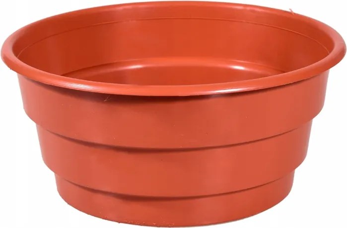 Krizantém tál hálóval 17cm 1,6L- 10db