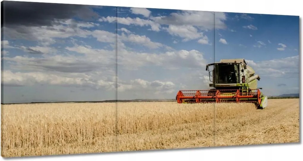 Vászonkép 60x30 Kombájn az aratás idején