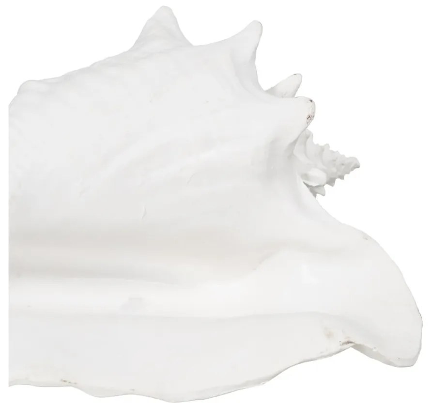 Poligyanta szobor (magasság 13 cm) Seashell – Ixia