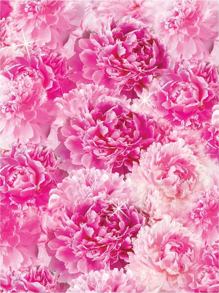 Fotótapéta virágok fotótapéta falra 184 x 254