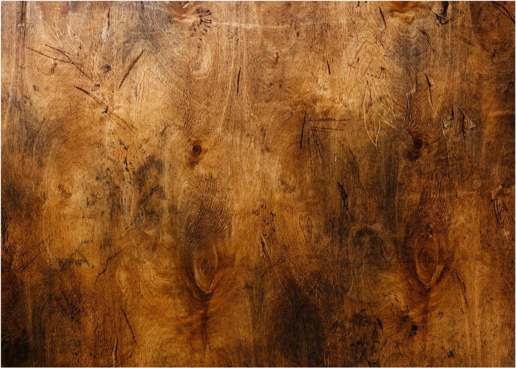 Kép - Fa részlete (üvegen) (70x50 cm)