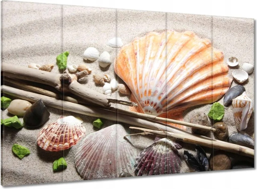 Vászonkép 100x70 Kagylók a balti tengerpartról