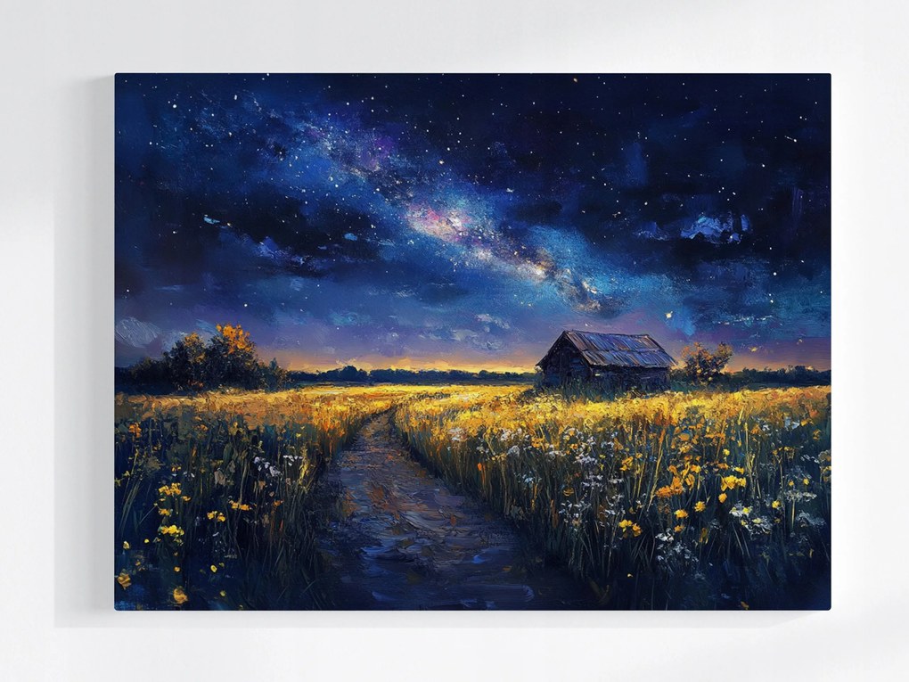 Vászonkép Canvas Falu Mező Tejút Ég Csillagok Éjszaka 80x60