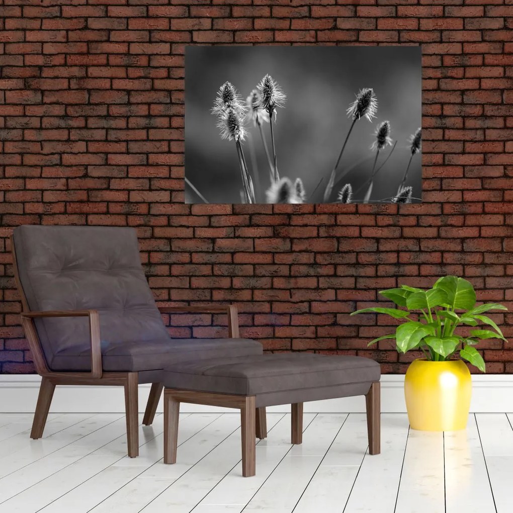 Kép - Bézs színű puha fű N⁰2 (90x60 cm)