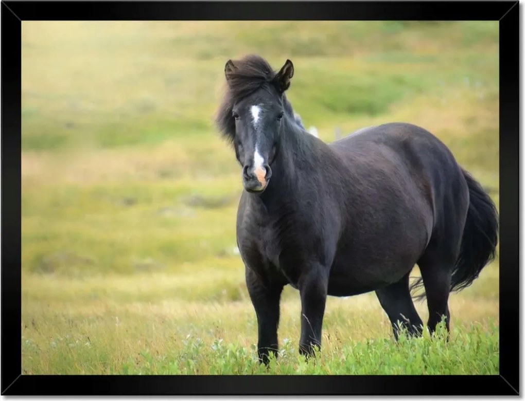 Poszterek keretben 40x30 Szél az orrlyukakba
