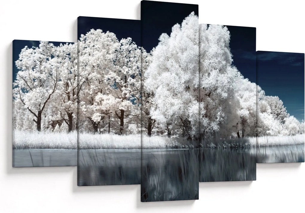 Kép - Hófehér fák (150x105 cm)