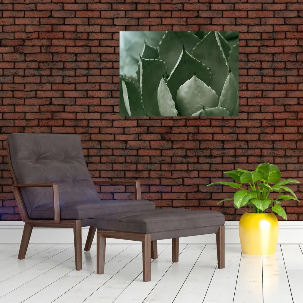 Kép - Zöld agávé (70x50 cm)
