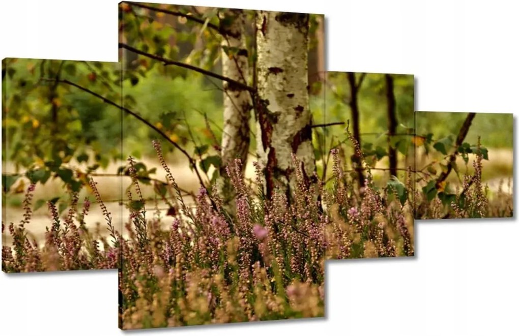 Vászonkép 130x80 Nyírfa a hangák között Erdő