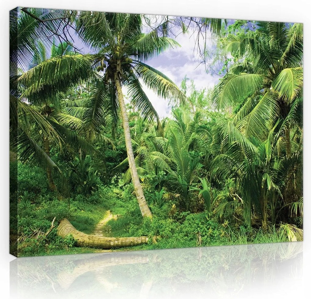 Vászonkép falikép pálmafás tengerpart kép 100x75