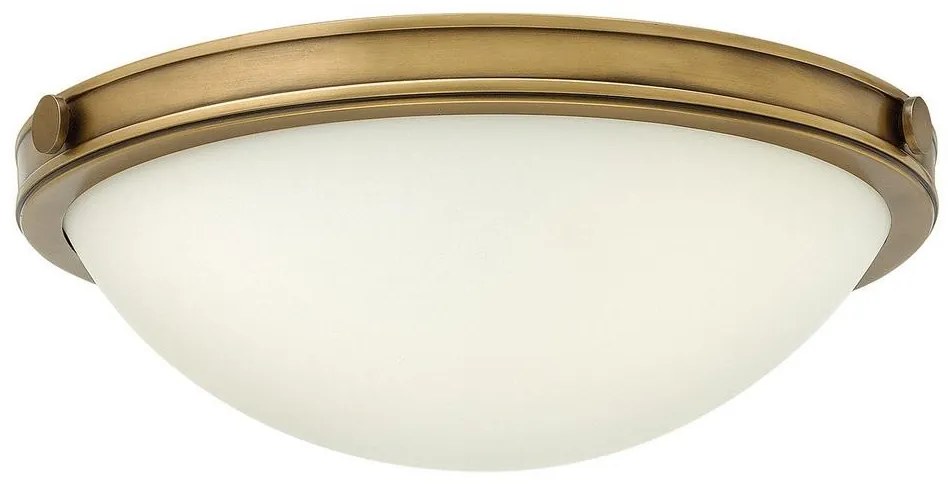 Elstead Hinkley - Mennyezeti lámpa COLLIER 2xE27/40W/230V ED0231