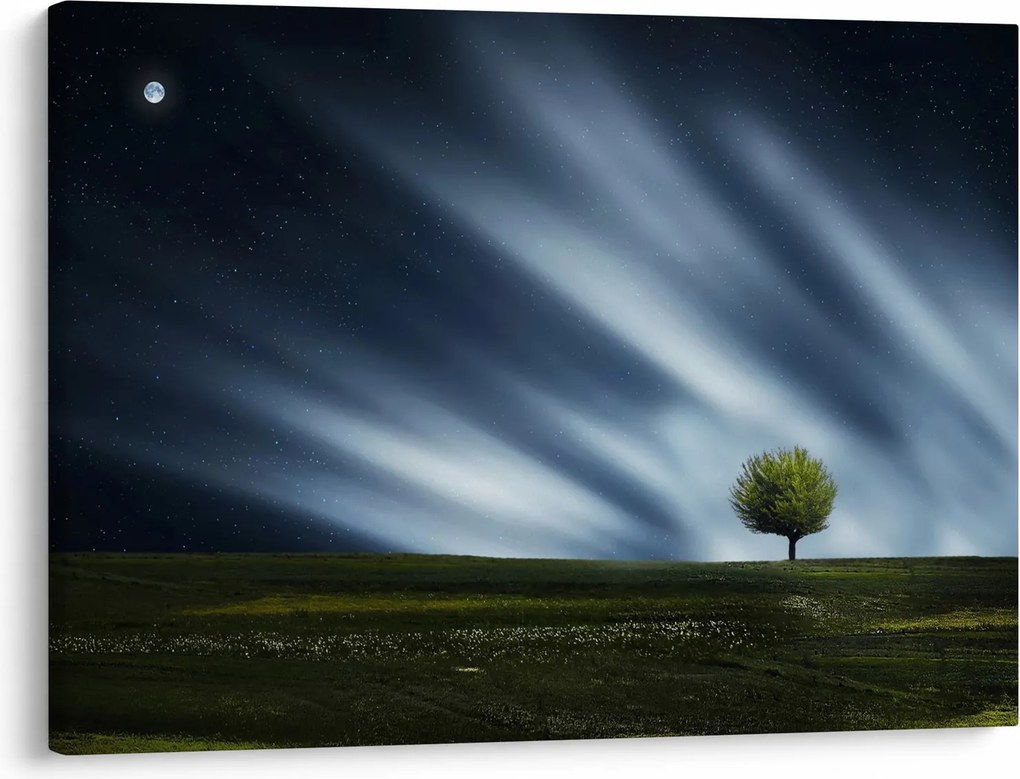 Az aurora borealis képe egy lápvidéken (70x50 cm)
