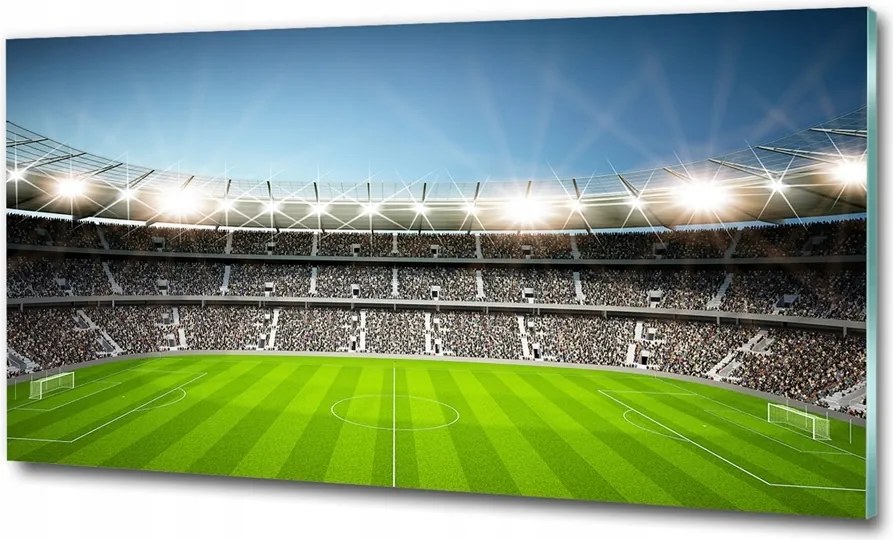 Fotó üveg kép Labda a gyepen 125x50