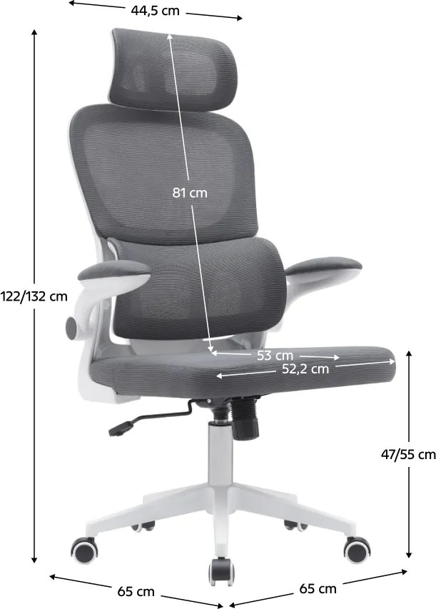 Irodai szék, sötétszürke/fehér, RENARD