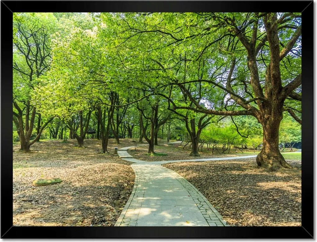 Poszterek keretben 40x30 Zöld park úttal