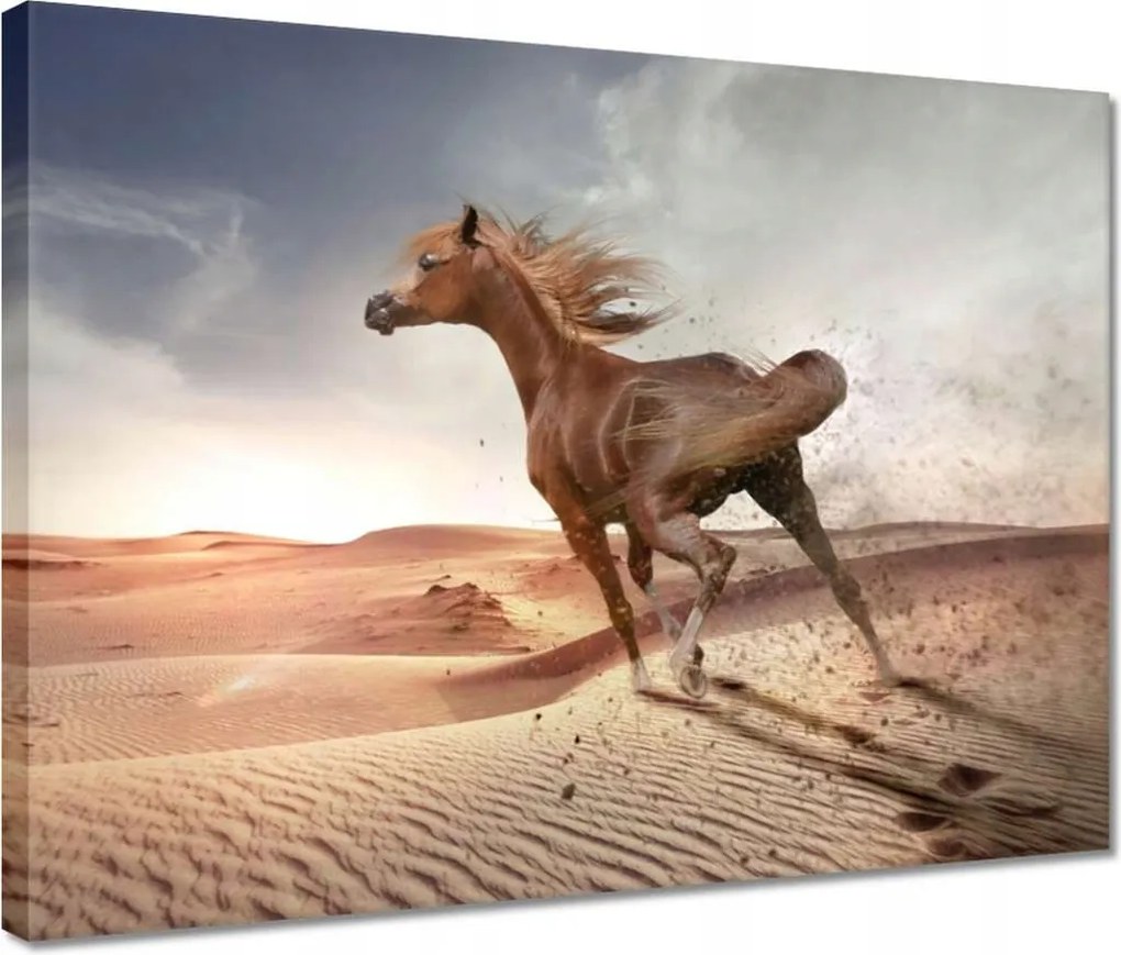 Vászonkép 40x30 Ló Lovak Lovaglás