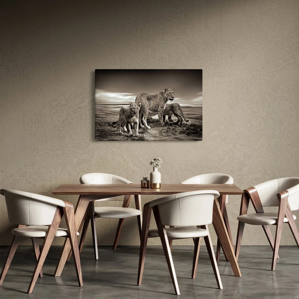 Fekete fehér tigris képe (90x60 cm)