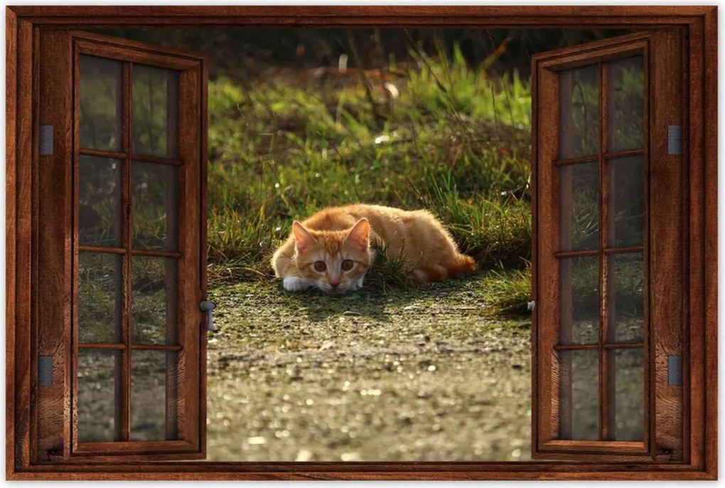 Poszterek 120x80 Cica Cicák