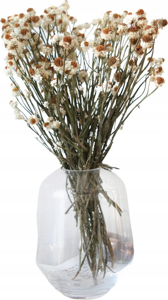 Szárított Aranyszínű natúr szárított csokor vázába, pálmafák