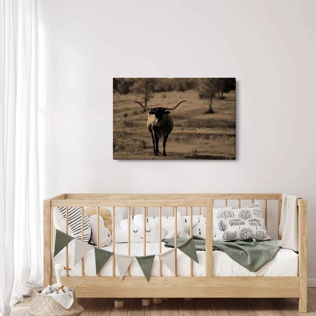 Kép - Texasi tehén (90x60 cm)