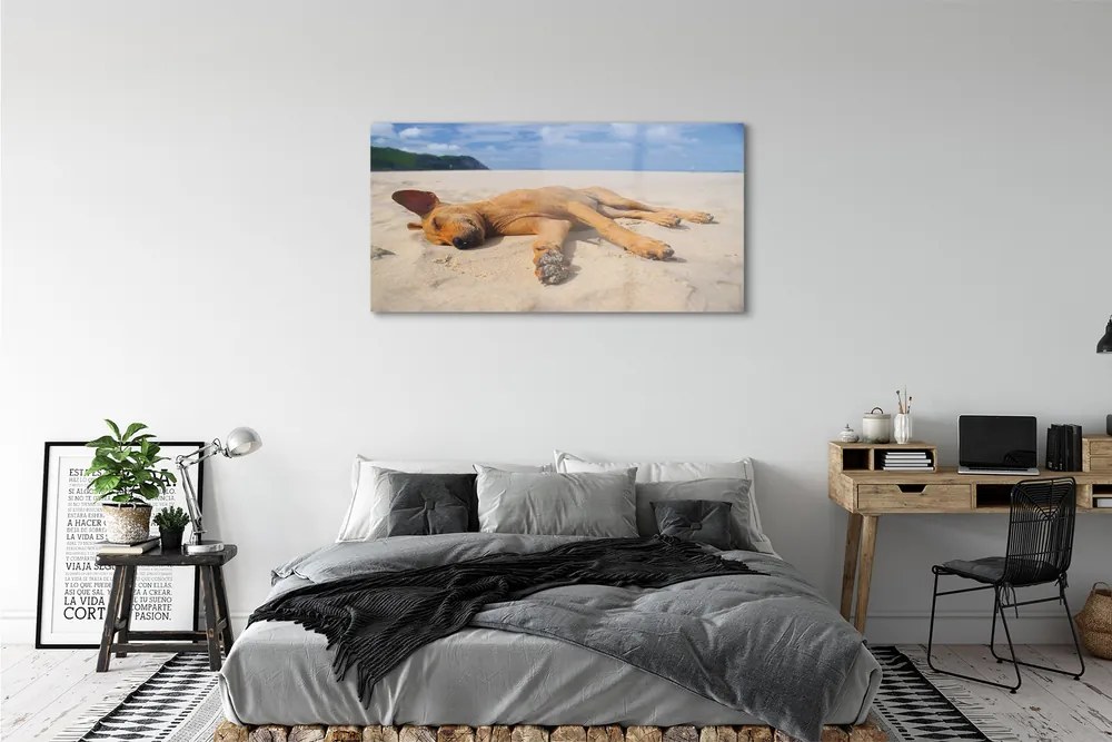 Üvegképek Fekvő kutya strand 120x60cm