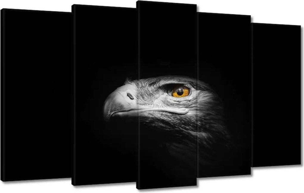 Képek 100x60 A sas támadása