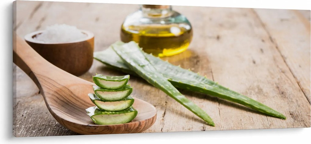 Kép - Aloe vera (120x50 cm)